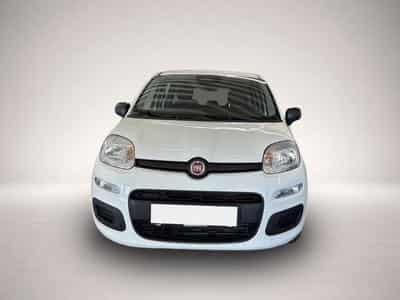 Fiat Panda (2026) - Foto 6