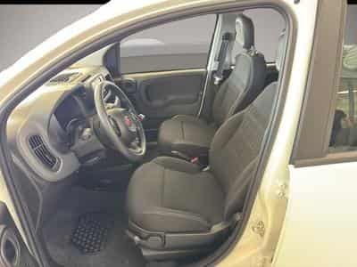 Fiat Panda (2026) - Foto 7