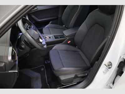 Cupra Leon (2025) - Foto 5
