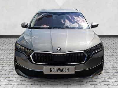 Skoda Octavia 2.0 TDI 110 kW Selection (2026) - Foto 2