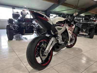 Zontes 703 RR BREMBO (2026) - Photo 3