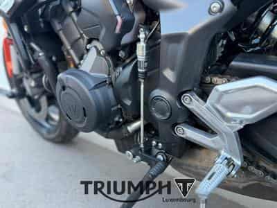Triumph Trident TRIDENT 660 (2023) - Photo 15