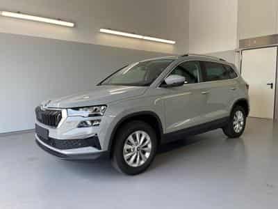 Skoda Karoq Selection (2026) - Photo 1