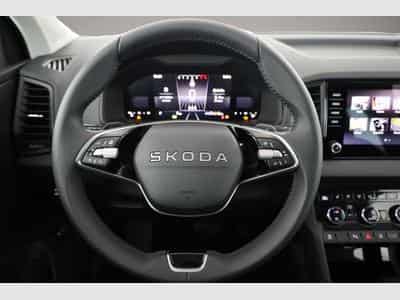 Skoda Karoq (2026) - Foto 6