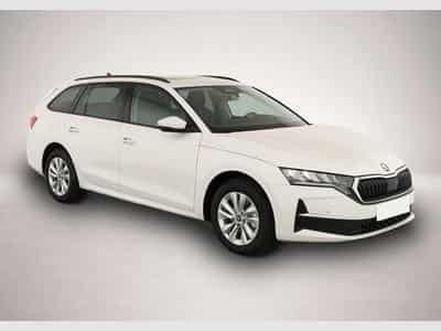 Skoda Octavia (2026) - Foto 2