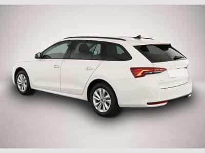 Skoda Octavia (2026) - Foto 4