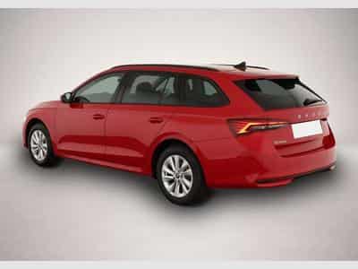 Skoda Octavia (2026) - Foto 4
