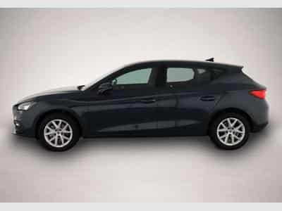 Seat Leon (2026) - Foto 4