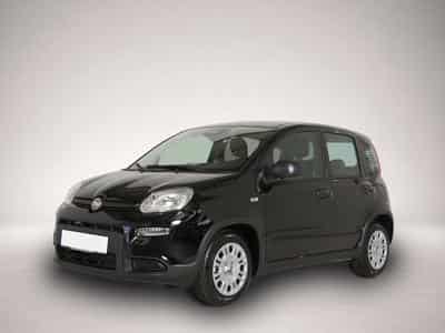 Fiat Panda (2024) - Foto 1