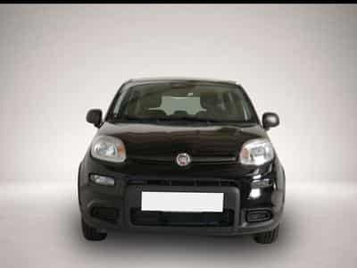 Fiat Panda (2024) - Photo 2