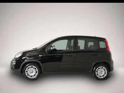 Fiat Panda (2024) - Photo 4