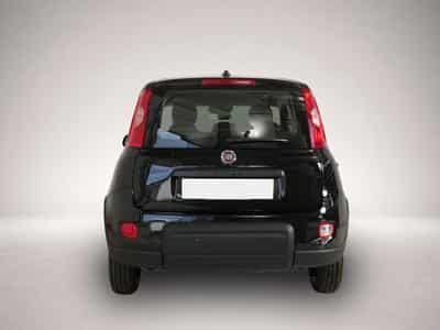 Fiat Panda (2024) - Photo 5