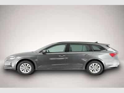 Skoda Octavia (2026) - Foto 3