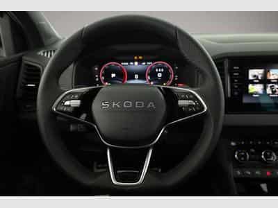 Skoda Karoq (2026) - Foto 6