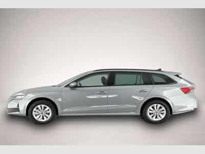 Skoda Octavia (2026) - Foto 3
