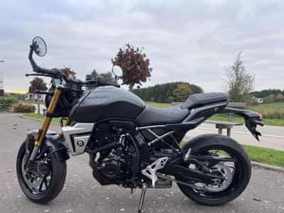 Suzuki GSX-8T (2026) - Photo 4