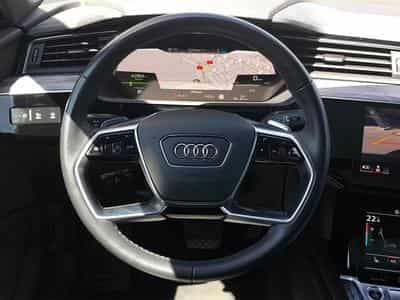 Audi Q8 E-Tron55+Advanced+Quattro+P.Premium (2023) - Photo 10