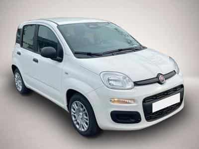 Fiat Panda (2026) - Photo 2