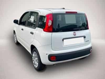 Fiat Panda (2026) - Photo 3