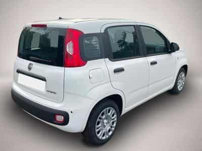 Fiat Panda (2026) - Photo 3