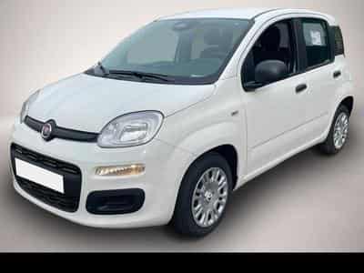 Fiat Panda (2026) - Photo 4