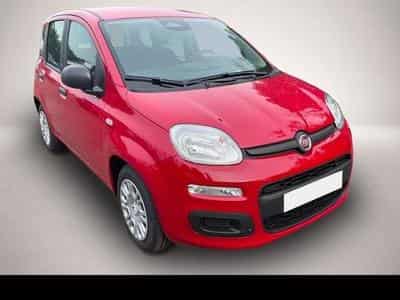 Fiat Panda (2026) - Photo 2