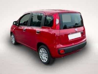 Fiat Panda (2026) - Photo 3