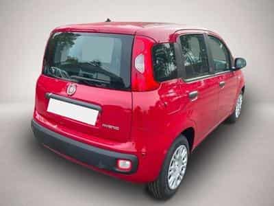Fiat Panda (2026) - Photo 4