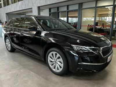 Skoda Octavia (2025) - Foto 3