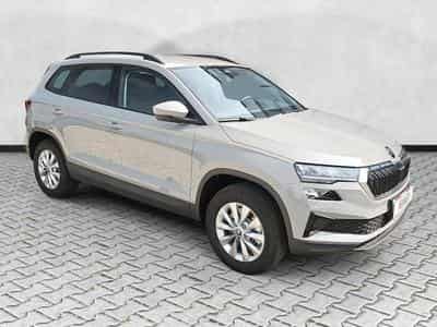 Skoda Karoq Selection (2026) - Photo 1
