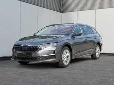 Skoda Octavia Selection (2026) - Photo 1