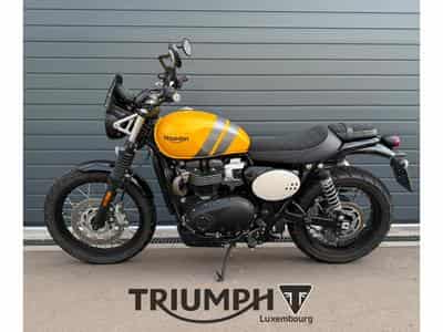 Triumph Scrambler SCRAMBLER 900 (2023) - Foto 1
