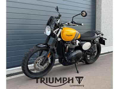 Triumph Scrambler SCRAMBLER 900 (2023) - Foto 3