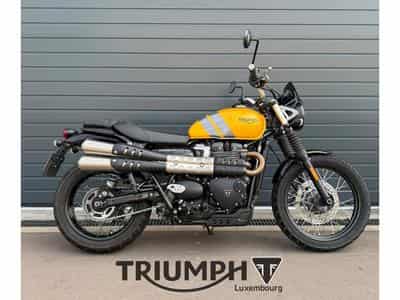 Triumph Scrambler SCRAMBLER 900 (2023) - Foto 4
