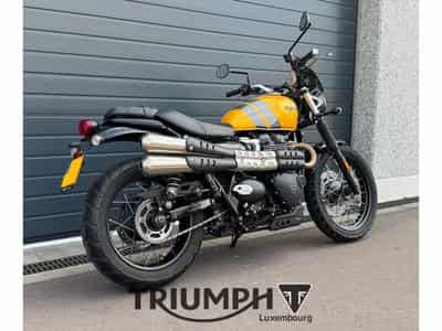 Triumph Scrambler SCRAMBLER 900 (2023) - Foto 5