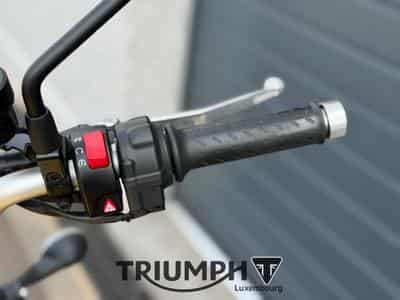 Triumph Scrambler SCRAMBLER 900 (2023) - Foto 9