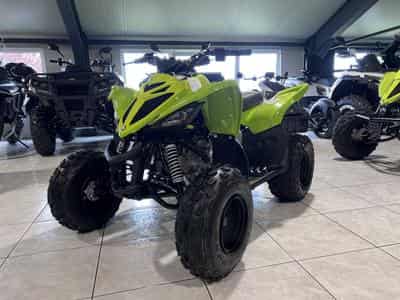 Yamaha Raptor 50 4 TEMPS (2026) - Photo 2