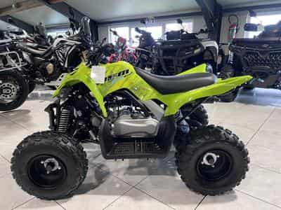 Yamaha Raptor 50 4 TEMPS (2026) - Photo 6