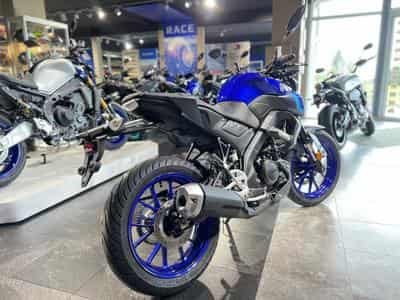 Yamaha MT125 BLEU (2026) - Foto 3