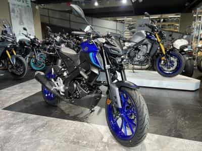 Yamaha MT125 BLEU (2026) - Foto 6
