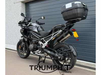 Triumph Tiger TIGER 1200 GT PRO (2026) - Foto 2