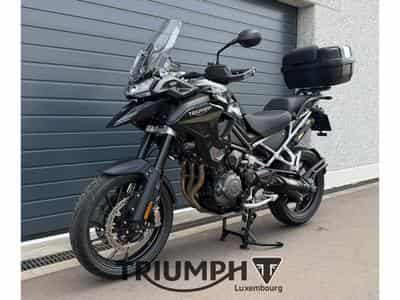 Triumph Tiger TIGER 1200 GT PRO (2026) - Foto 3