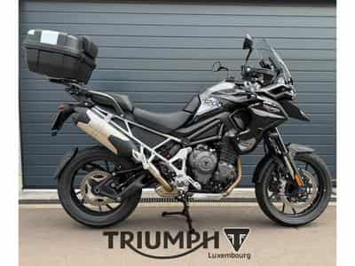Triumph Tiger TIGER 1200 GT PRO (2026) - Foto 4
