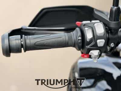 Triumph Tiger TIGER 1200 GT PRO (2026) - Foto 7