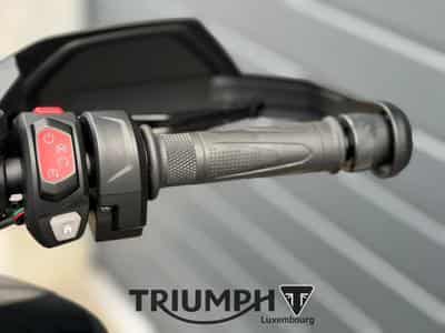 Triumph Tiger TIGER 1200 GT PRO (2026) - Foto 9