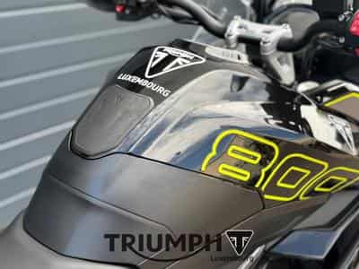 Triumph Tiger TIGER SPORT 800 (2026) - Foto 10