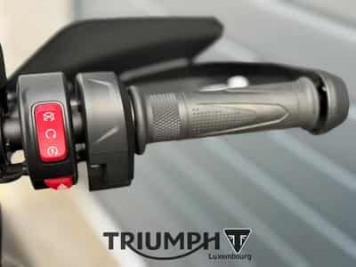 Triumph Tiger TIGER SPORT 800 (2026) - Foto 9