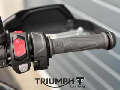Triumph Tiger TIGER 900 GT PRO (2026) - Foto 9