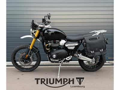 Triumph Scrambler SCRAMBLER 1200 XE (2026) - Foto 1