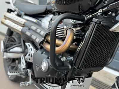 Triumph Scrambler SCRAMBLER 1200 XE (2026) - Foto 14